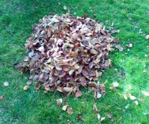 Puzzle Μαζεύοντας πεσμένα φύλλα